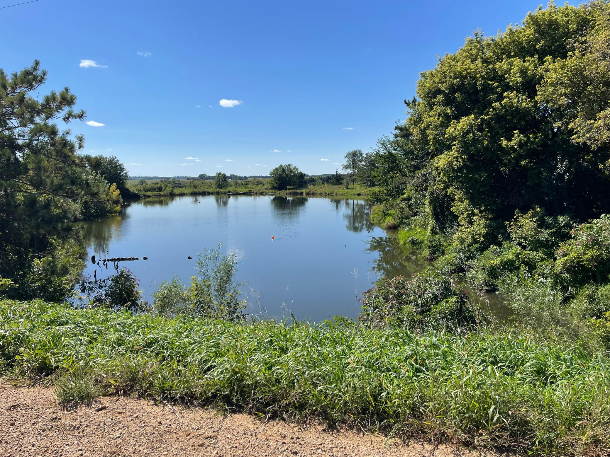 Pond 1.jpg