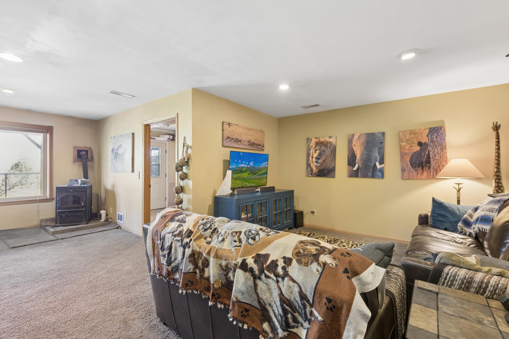 Lower Level Family Room