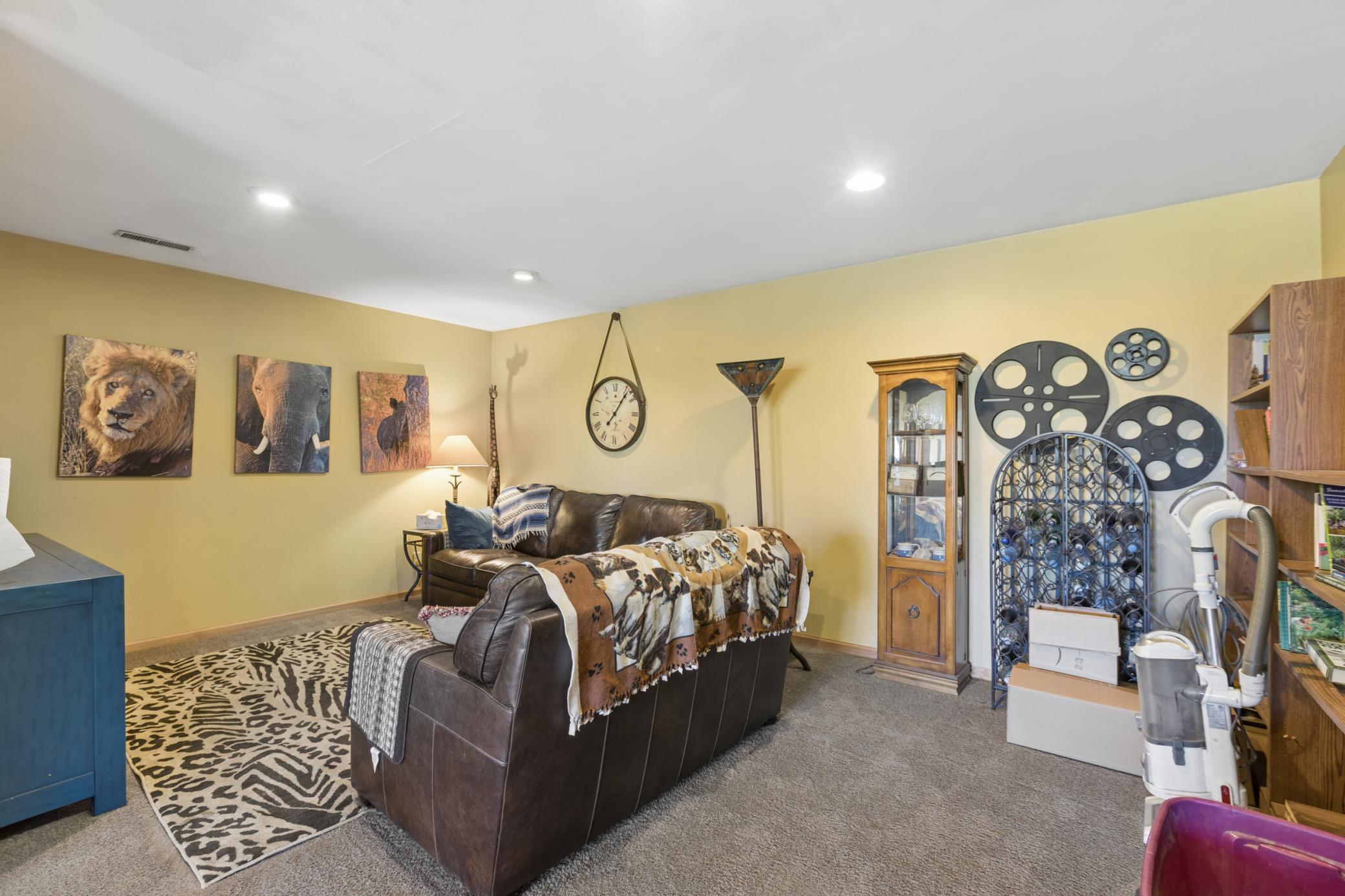 Lower Level Family Room