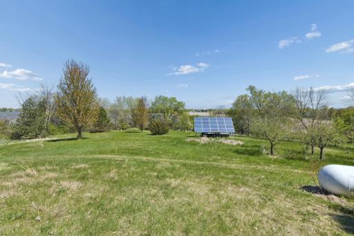 Peaceful Setting with Abundant Trees and Open Green Space