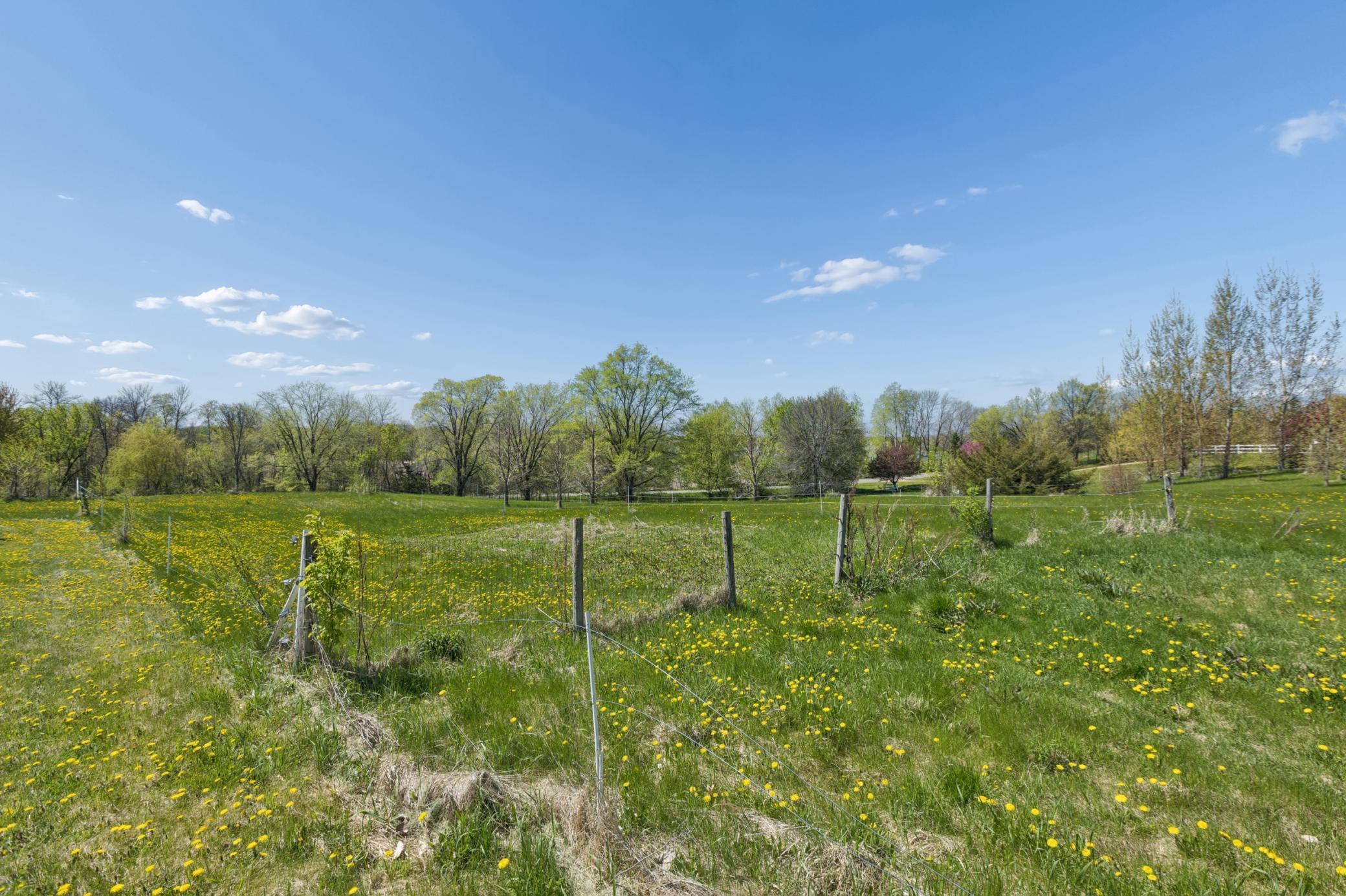 Peaceful Setting with Abundant Trees and Open Green Space