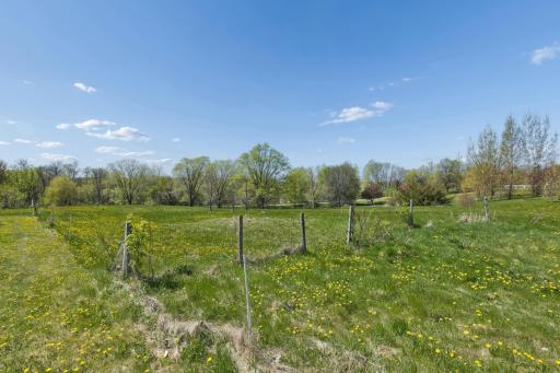 Peaceful Setting with Abundant Trees and Open Green Space