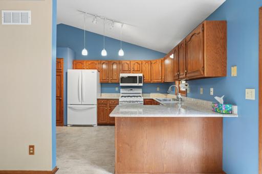 20524 Javelin Circle, Lakeville, MN 55044