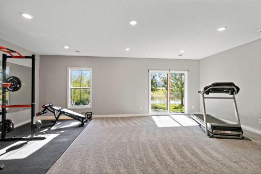 Walkout Lower Level 18364 Glasswort Dr, Lakeville, MN