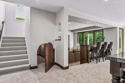 Welcome to this bright and cheerful lower-level walkout! Can't wait for you to see all it offers.