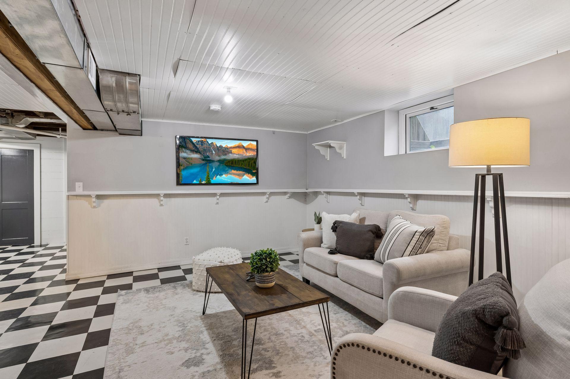 Lower Level Family Room