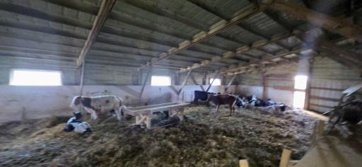 South pen area in barn
