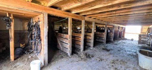 Stalls in barn