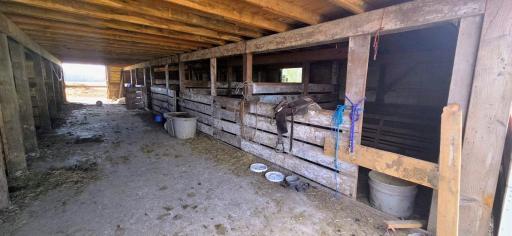 Pens in barn