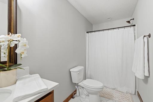 30-web-or-mls-2802_213th_St_W_Farmington_MN_027.jpg