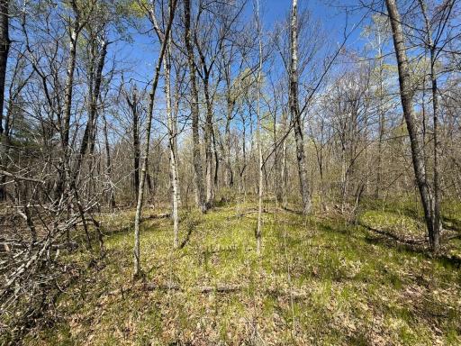 N10439 Tranus Lake Road, Springbrook, WI 54875