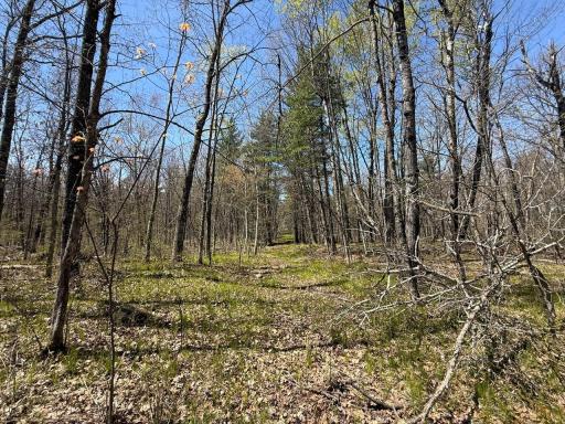 N10439 Tranus Lake Road, Springbrook, WI 54875