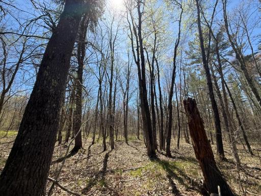 N10439 Tranus Lake Road, Springbrook, WI 54875