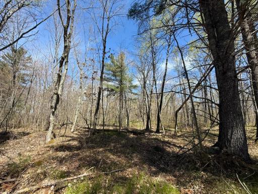 N10439 Tranus Lake Road, Springbrook, WI 54875