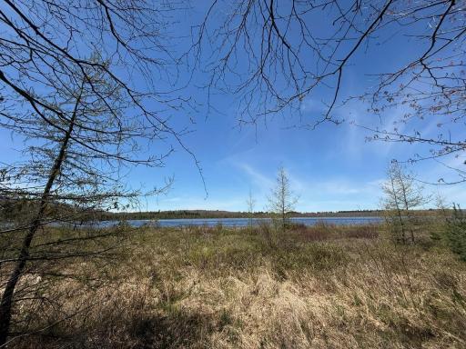 N10439 Tranus Lake Road, Springbrook, WI 54875