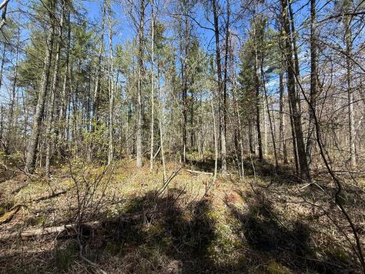 N10439 Tranus Lake Road, Springbrook, WI 54875