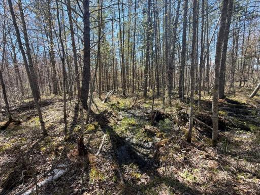 N10439 Tranus Lake Road, Springbrook, WI 54875