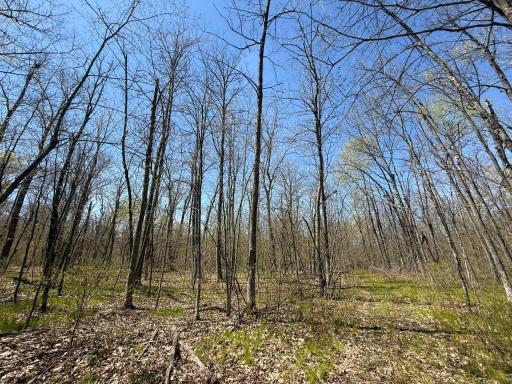 N10439 Tranus Lake Road, Springbrook, WI 54875