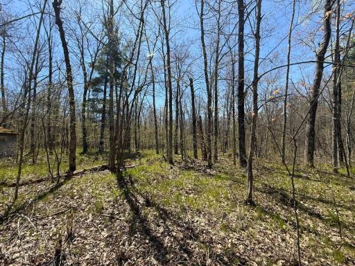 N10439 Tranus Lake Road, Springbrook, WI 54875