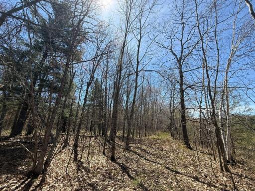 N10439 Tranus Lake Road, Springbrook, WI 54875