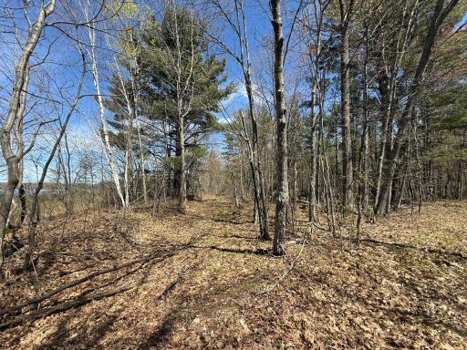N10439 Tranus Lake Road, Springbrook, WI 54875