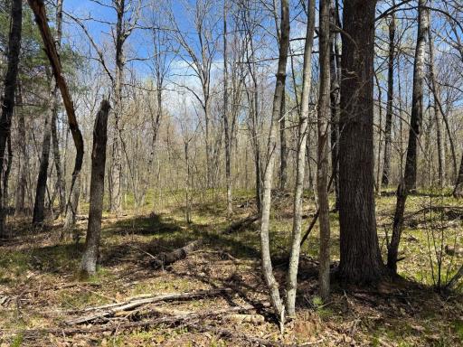 N10439 Tranus Lake Road, Springbrook, WI 54875