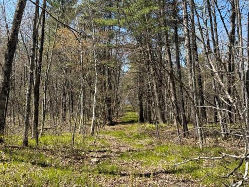 N10439 Tranus Lake Road, Springbrook, WI 54875