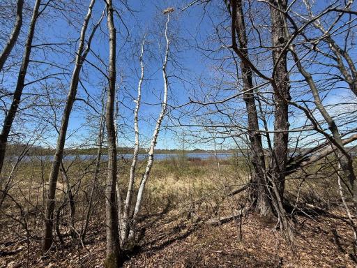 N10439 Tranus Lake Road, Springbrook, WI 54875