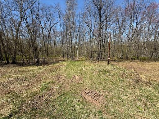 N10439 Tranus Lake Road, Springbrook, WI 54875