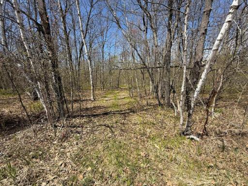 N10439 Tranus Lake Road, Springbrook, WI 54875