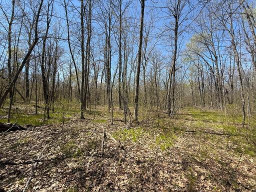 N10439 Tranus Lake Road, Springbrook, WI 54875