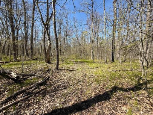 N10439 Tranus Lake Road, Springbrook, WI 54875