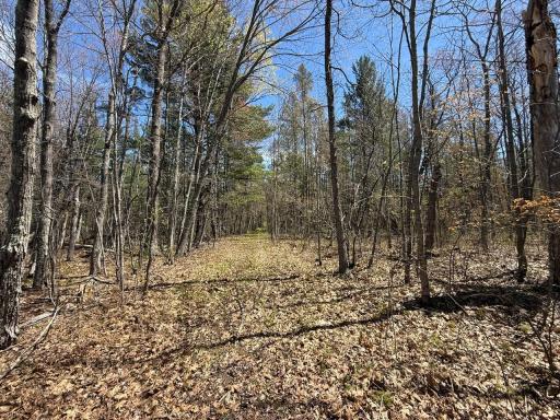 N10439 Tranus Lake Road, Springbrook, WI 54875