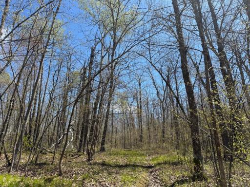 N10439 Tranus Lake Road, Springbrook, WI 54875