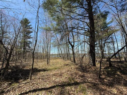 N10439 Tranus Lake Road, Springbrook, WI 54875