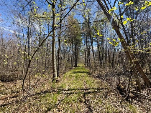 N10439 Tranus Lake Road, Springbrook, WI 54875
