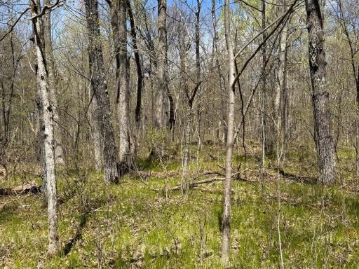 N10439 Tranus Lake Road, Springbrook, WI 54875