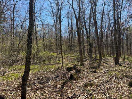 N10439 Tranus Lake Road, Springbrook, WI 54875