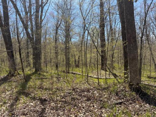 N10439 Tranus Lake Road, Springbrook, WI 54875