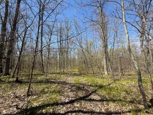 N10439 Tranus Lake Road, Springbrook, WI 54875