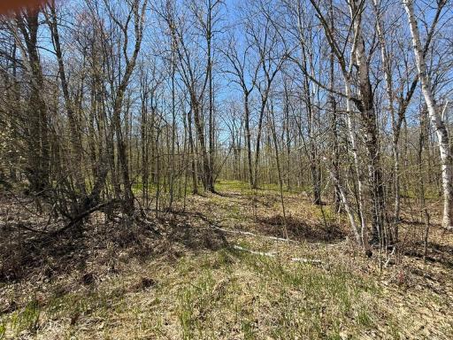 N10439 Tranus Lake Road, Springbrook, WI 54875