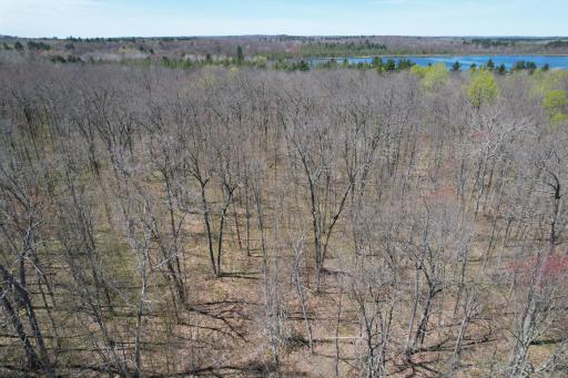 N10439 Tranus Lake Road, Springbrook, WI 54875