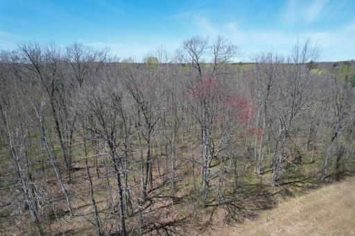 N10439 Tranus Lake Road, Springbrook, WI 54875