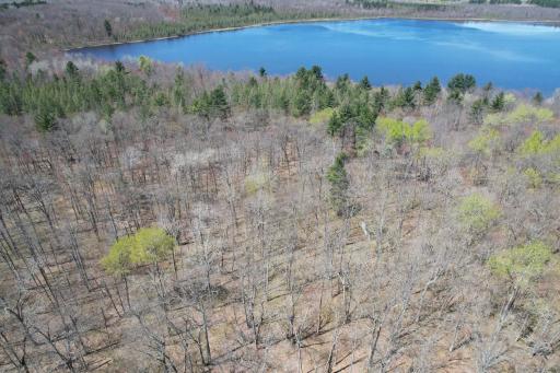 N10439 Tranus Lake Road, Springbrook, WI 54875