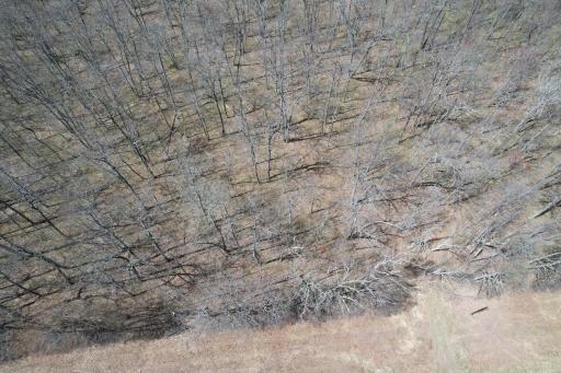 N10439 Tranus Lake Road, Springbrook, WI 54875