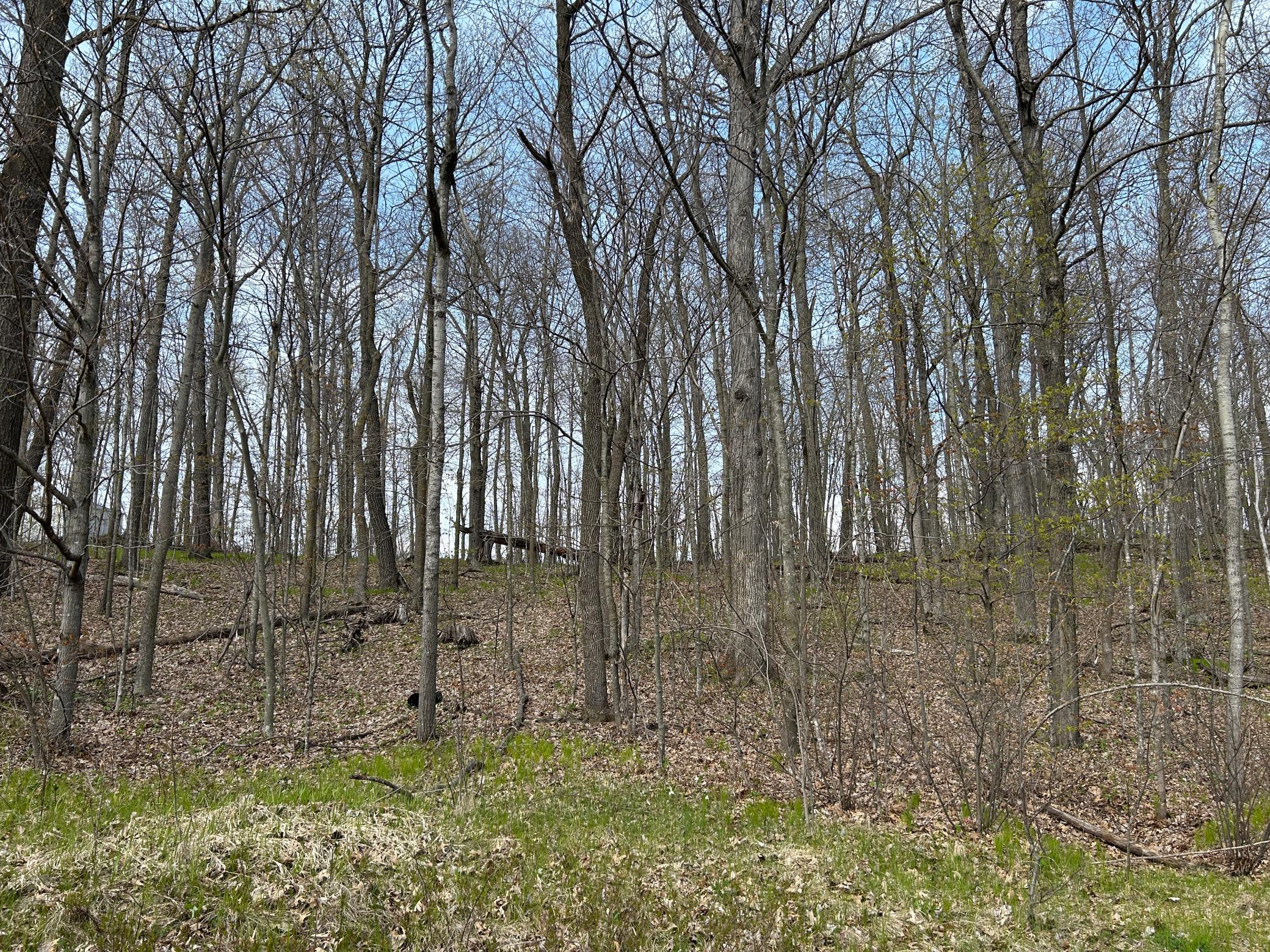 A look at the lot from the road.
