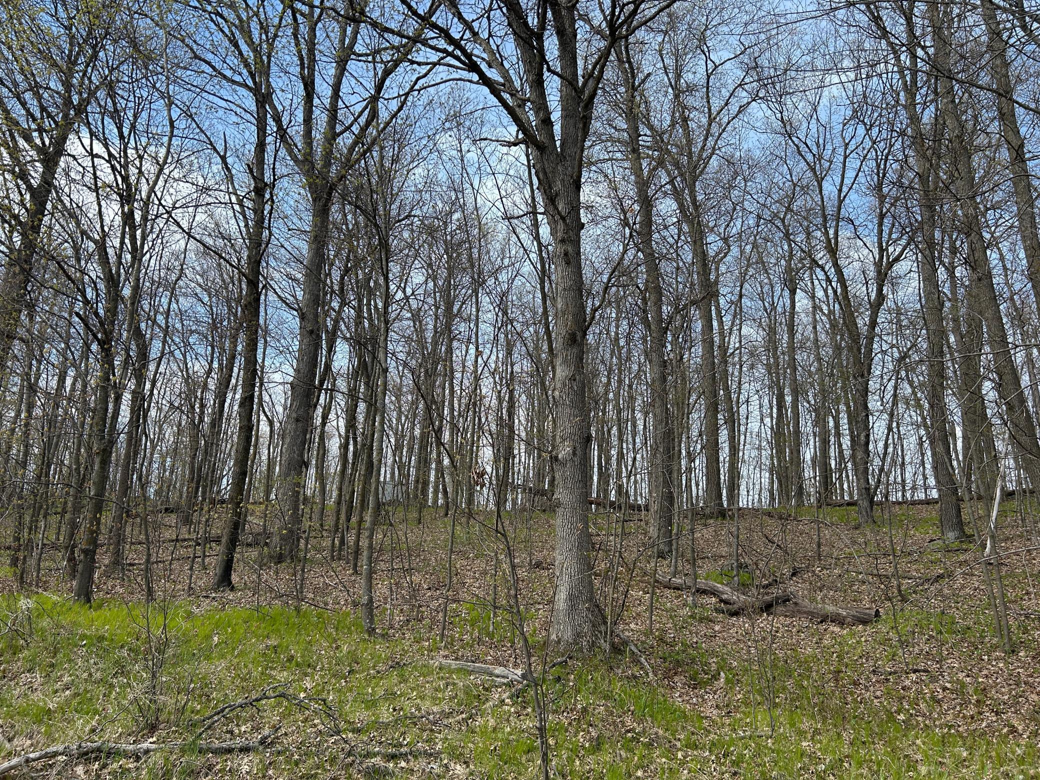More views of the lot.