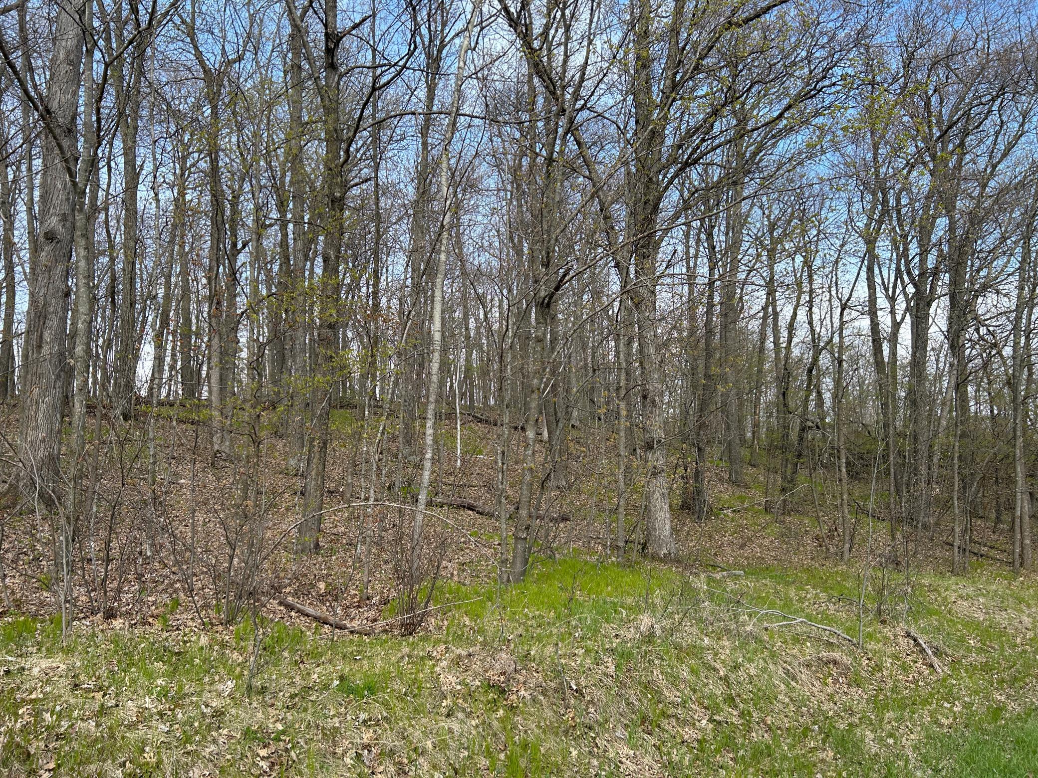 Another shot of the lot from the road.