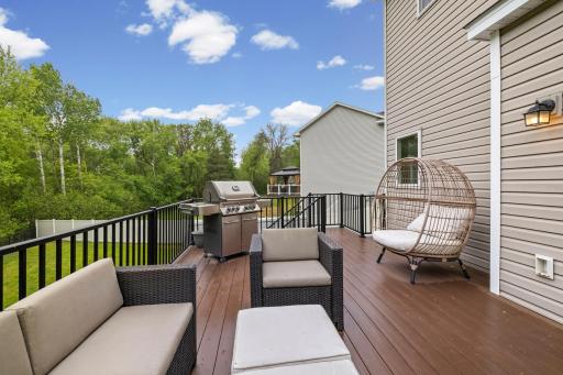 13807 Martin Street NW, Andover, MN 55304