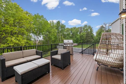 13807 Martin Street NW, Andover, MN 55304